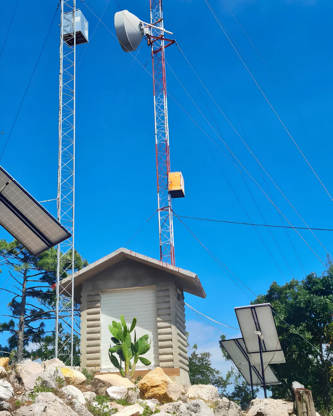 Amplia cobertura local de internet rural en comunidades de Oaxaca